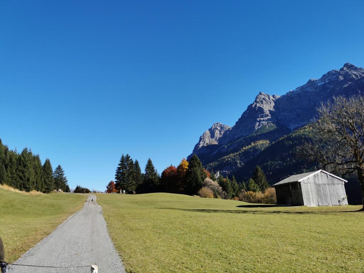 Ferienhaus Hochvogel Hinterhornbach المظهر الخارجي الصورة